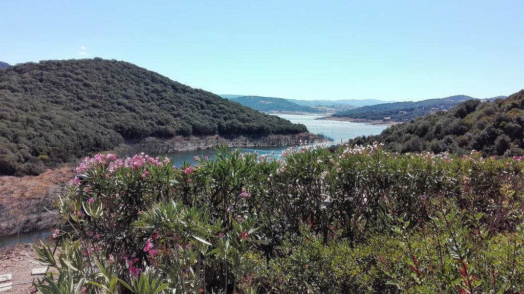 Hotel Aldiola Country Resort Sant'Antonio di Gallura Εξωτερικό φωτογραφία